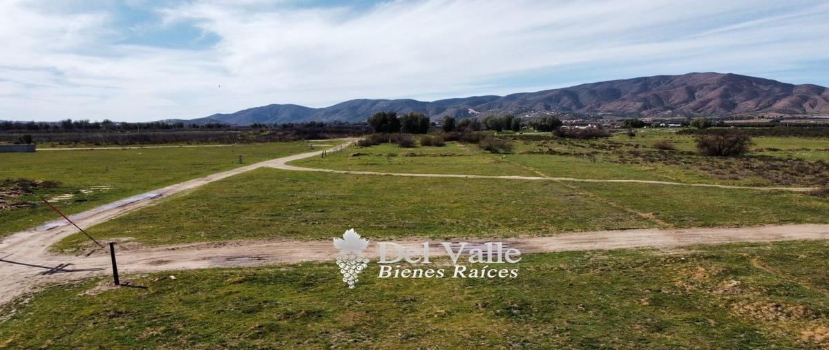 Foto de terreno habitacional en venta en  , francisco zarco (valle de guadalupe), ensenada, baja california, 24256596 No. 04