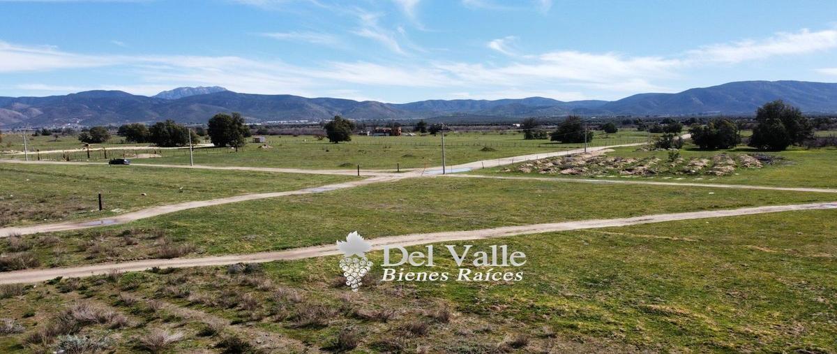 Foto de terreno habitacional en venta en  , francisco zarco (valle de guadalupe), ensenada, baja california, 24256596 No. 05