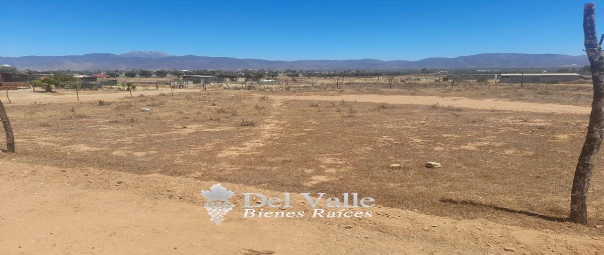 Foto de terreno habitacional en venta en  , francisco zarco (valle de guadalupe), ensenada, baja california, 24988734 No. 03