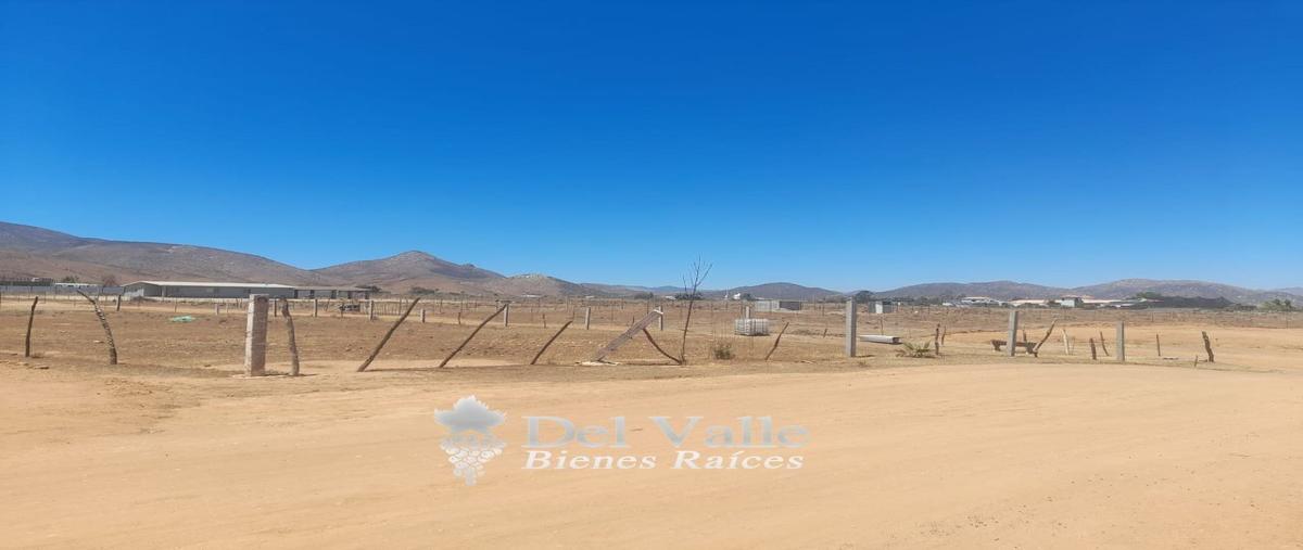 Foto de terreno habitacional en venta en  , francisco zarco (valle de guadalupe), ensenada, baja california, 24988734 No. 04