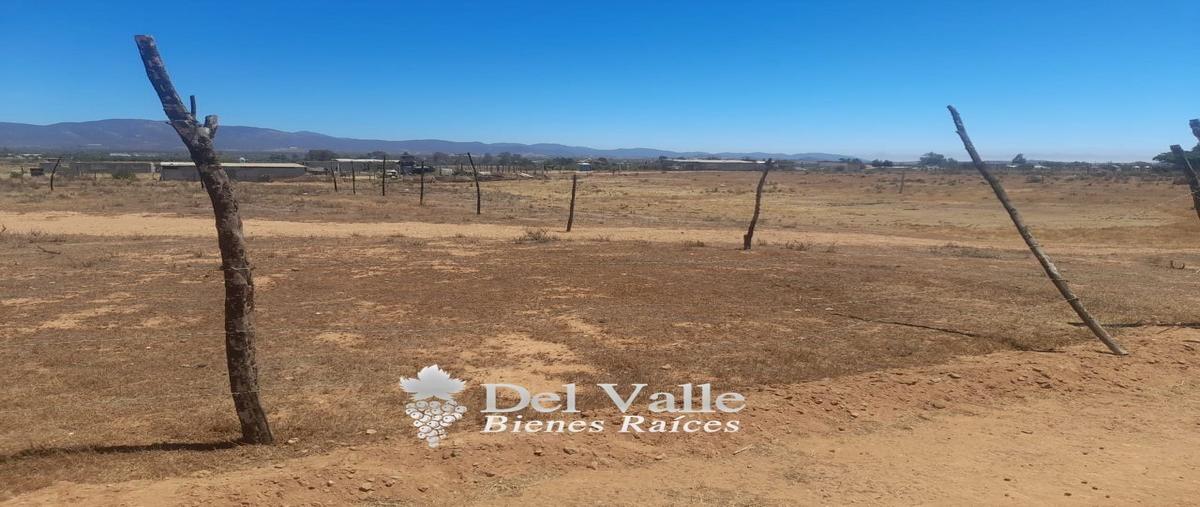 Foto de terreno habitacional en venta en  , francisco zarco (valle de guadalupe), ensenada, baja california, 24988734 No. 05
