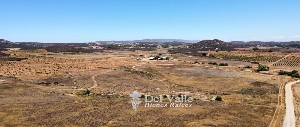 Foto de terreno habitacional en venta en  , francisco zarco (valle de guadalupe), ensenada, baja california, 25091532 No. 03