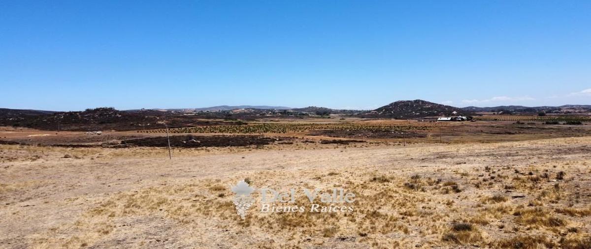 Foto de terreno habitacional en venta en  , francisco zarco (valle de guadalupe), ensenada, baja california, 25091532 No. 04