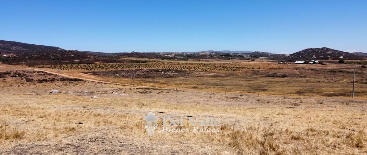 Foto de terreno habitacional en venta en  , francisco zarco (valle de guadalupe), ensenada, baja california, 25091532 No. 05