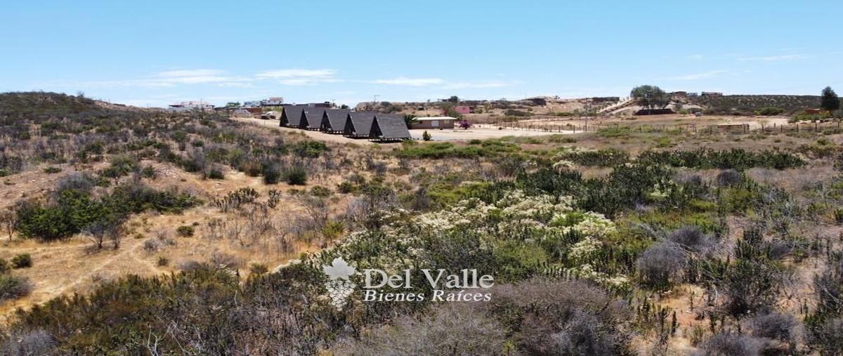 Foto de terreno habitacional en venta en  , francisco zarco (valle de guadalupe), ensenada, baja california, 25091533 No. 04