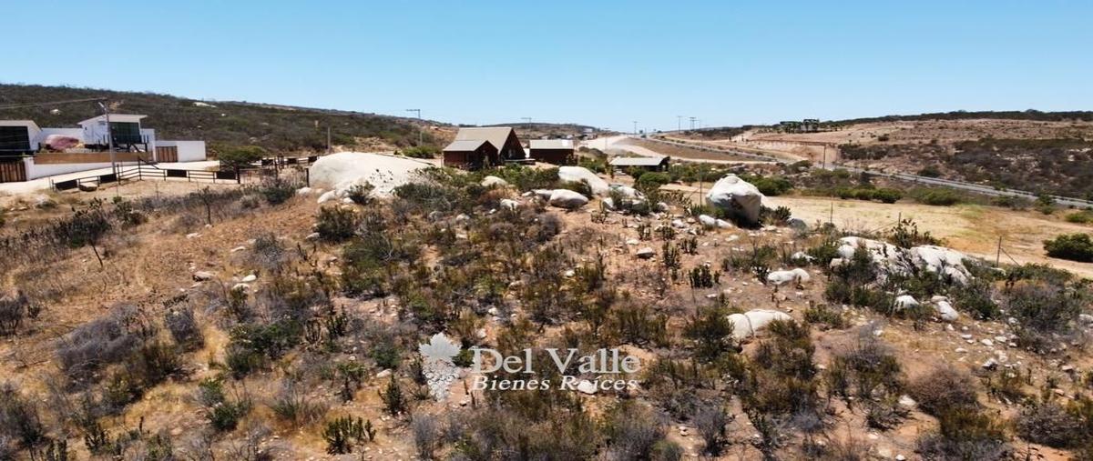 Foto de terreno habitacional en venta en  , francisco zarco (valle de guadalupe), ensenada, baja california, 25091533 No. 05