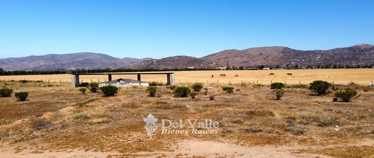 Foto de terreno habitacional en venta en  , francisco zarco (valle de guadalupe), ensenada, baja california, 25159485 No. 03