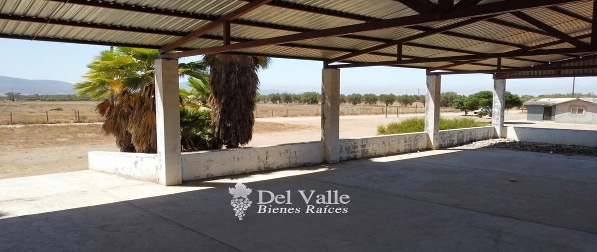 Foto de terreno habitacional en venta en  , francisco zarco (valle de guadalupe), ensenada, baja california, 25159485 No. 04