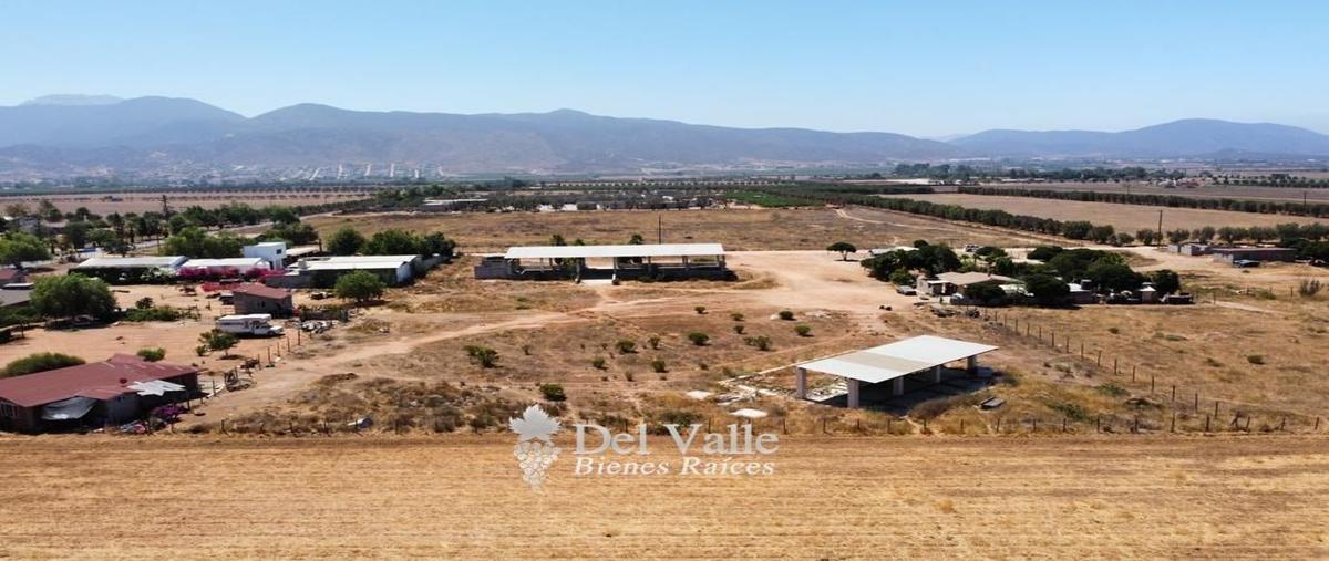Foto de terreno habitacional en venta en  , francisco zarco (valle de guadalupe), ensenada, baja california, 25159485 No. 05
