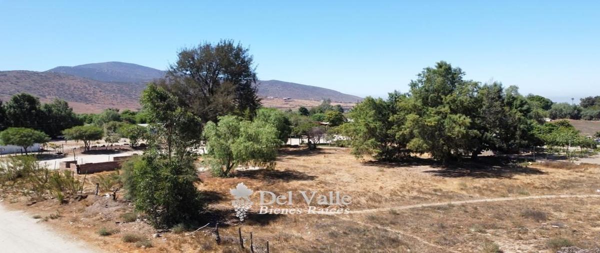 Foto de terreno habitacional en venta en  , francisco zarco (valle de guadalupe), ensenada, baja california, 25159488 No. 03