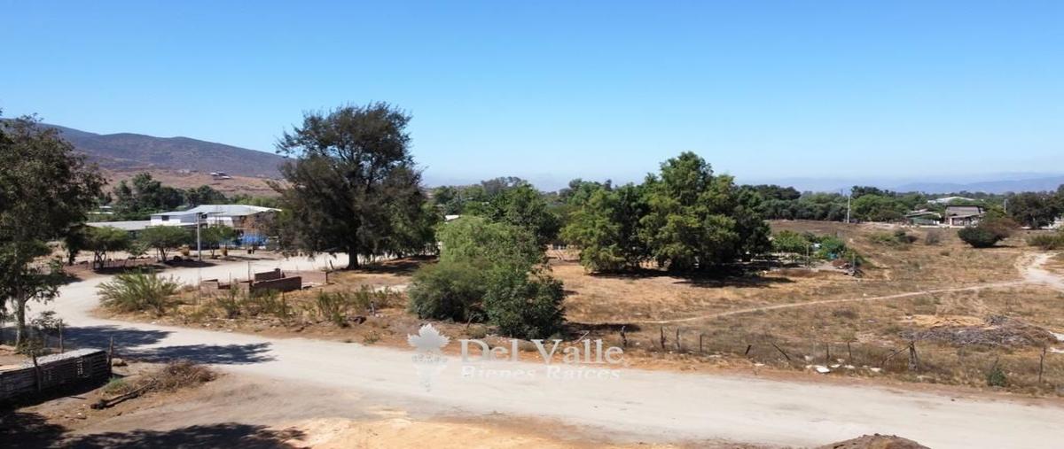 Foto de terreno habitacional en venta en  , francisco zarco (valle de guadalupe), ensenada, baja california, 25159488 No. 04
