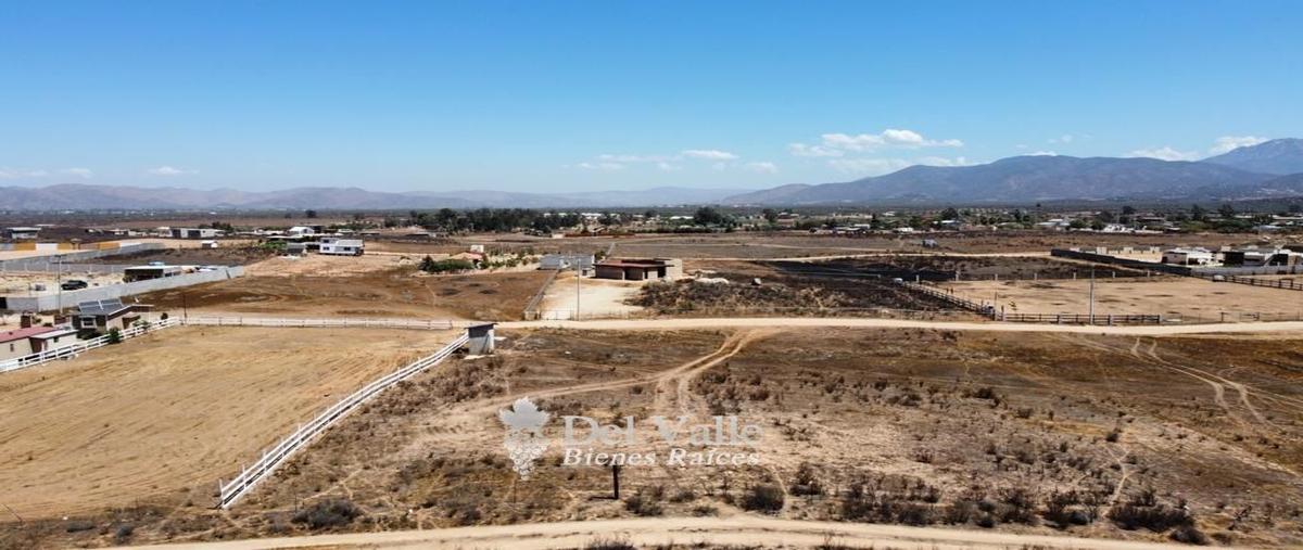 Foto de terreno habitacional en venta en  , francisco zarco (valle de guadalupe), ensenada, baja california, 25410113 No. 05