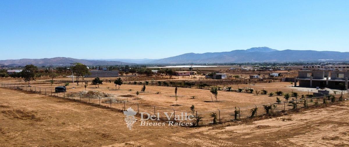 Foto de terreno habitacional en venta en  , francisco zarco (valle de guadalupe), ensenada, baja california, 25429682 No. 03