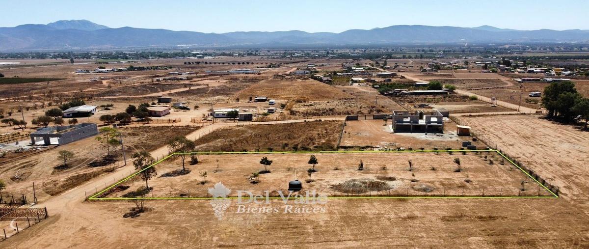 Foto de terreno habitacional en venta en  , francisco zarco (valle de guadalupe), ensenada, baja california, 25429682 No. 04