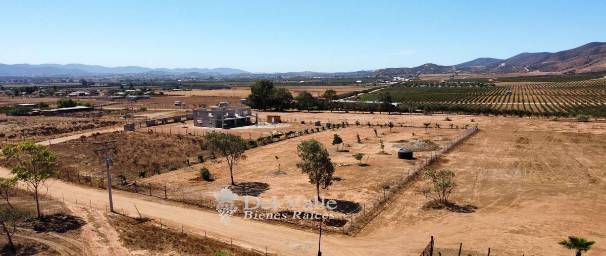 Foto de terreno habitacional en venta en  , francisco zarco (valle de guadalupe), ensenada, baja california, 25429682 No. 05