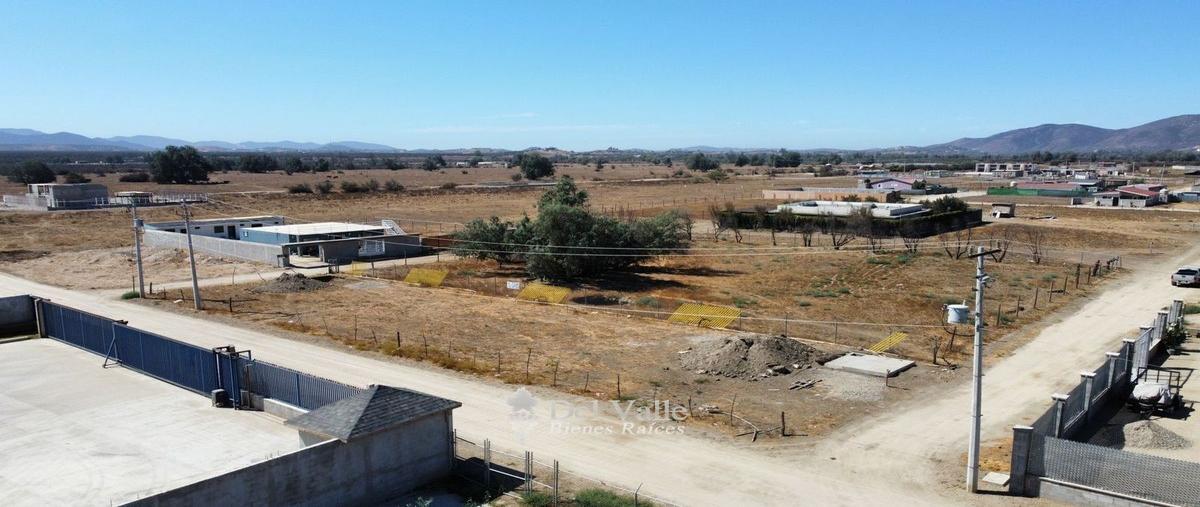 Foto de terreno habitacional en venta en  , francisco zarco (valle de guadalupe), ensenada, baja california, 25429683 No. 04