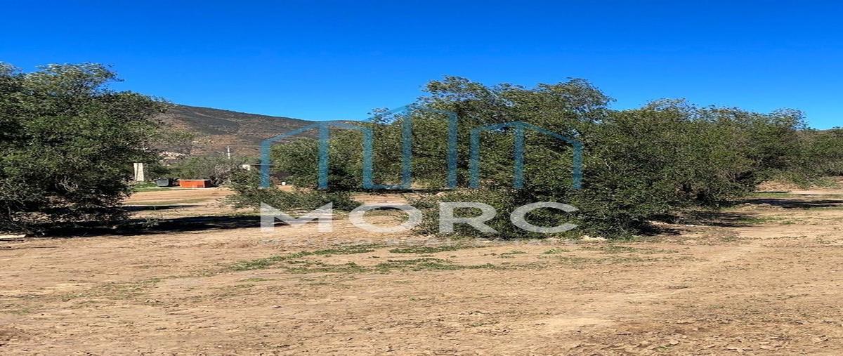 Foto de terreno habitacional en venta en  , francisco zarco (valle de guadalupe), ensenada, baja california, 25429772 No. 03