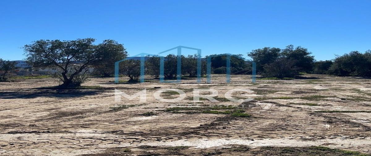 Foto de terreno habitacional en venta en  , francisco zarco (valle de guadalupe), ensenada, baja california, 25429772 No. 04
