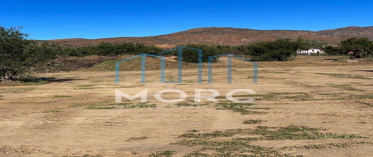 Foto de terreno habitacional en venta en  , francisco zarco (valle de guadalupe), ensenada, baja california, 25429772 No. 05