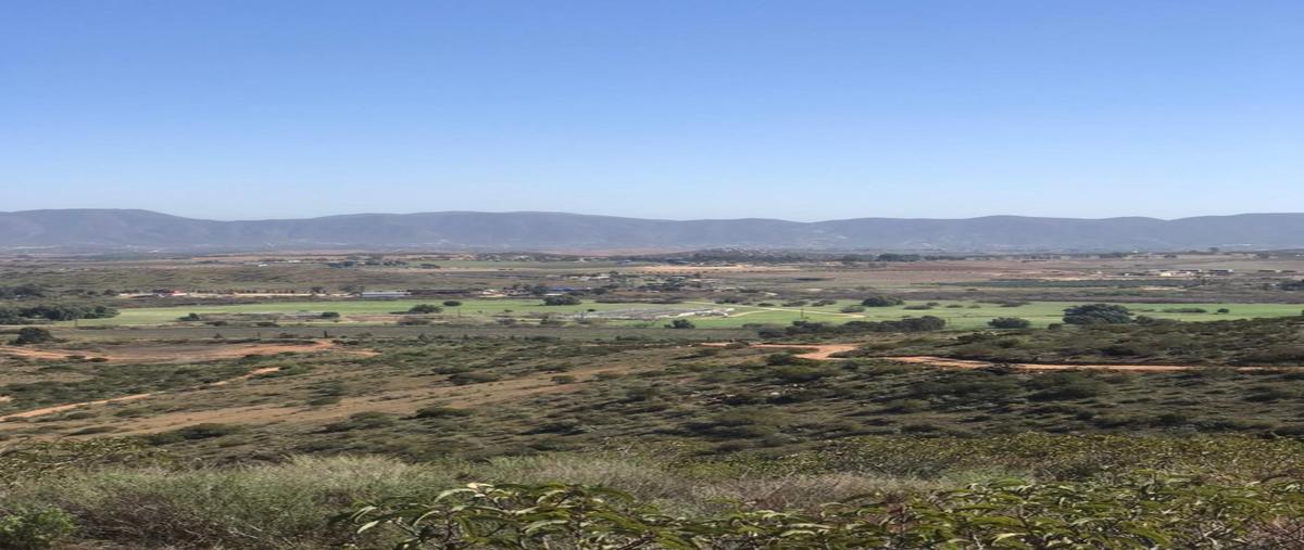 Foto de terreno habitacional en venta en  , francisco zarco (valle de guadalupe), ensenada, baja california, 25453110 No. 03