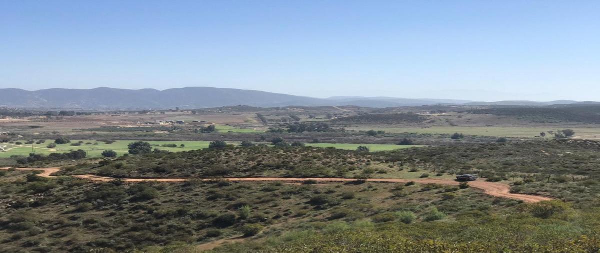 Foto de terreno habitacional en venta en  , francisco zarco (valle de guadalupe), ensenada, baja california, 25453110 No. 04