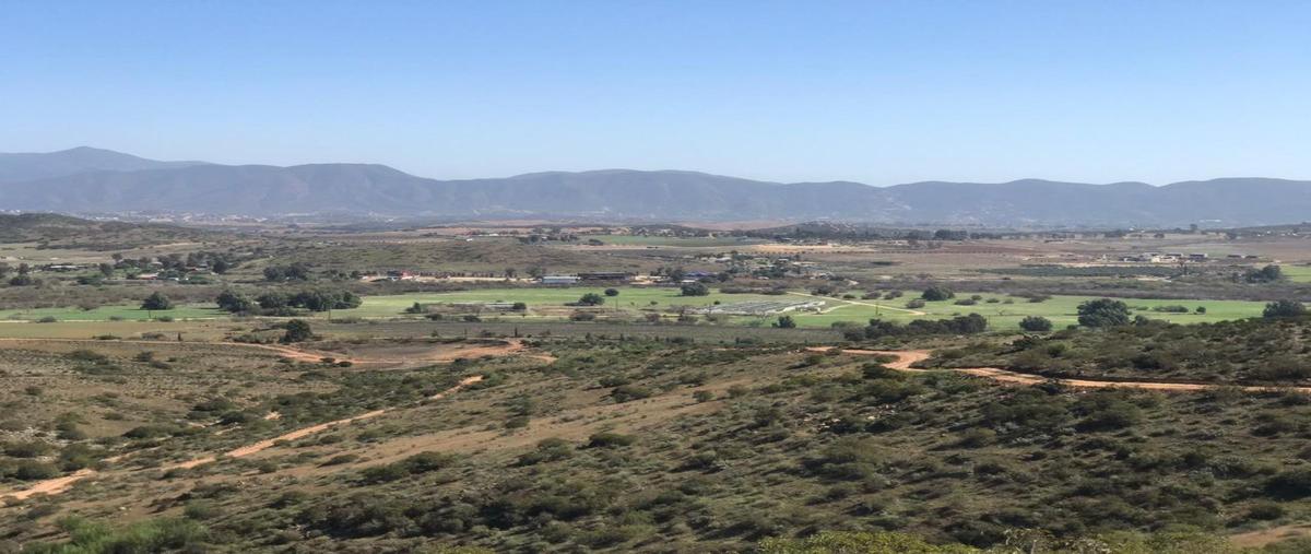 Foto de terreno habitacional en venta en  , francisco zarco (valle de guadalupe), ensenada, baja california, 25453110 No. 05