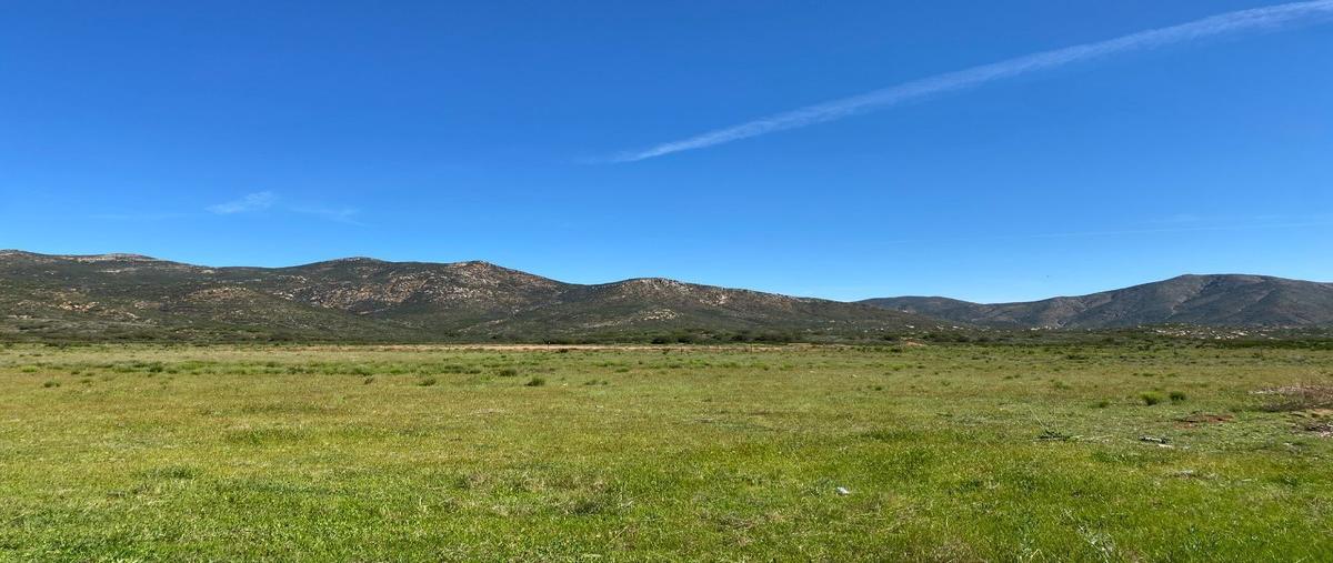 Foto de terreno habitacional en , francisco zarco (valle de guadalupe), ensenada, baja california, 25637245 foto 02 Foto de terreno habitacional en venta en , francisco zarco (valle de guadalupe), ensenada, baja california, 25637245 No. 02