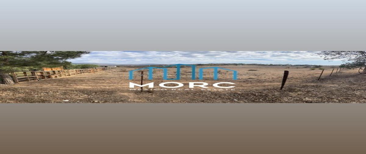 Foto de terreno habitacional en venta en  , francisco zarco (valle de guadalupe), ensenada, baja california, 25755463 No. 04