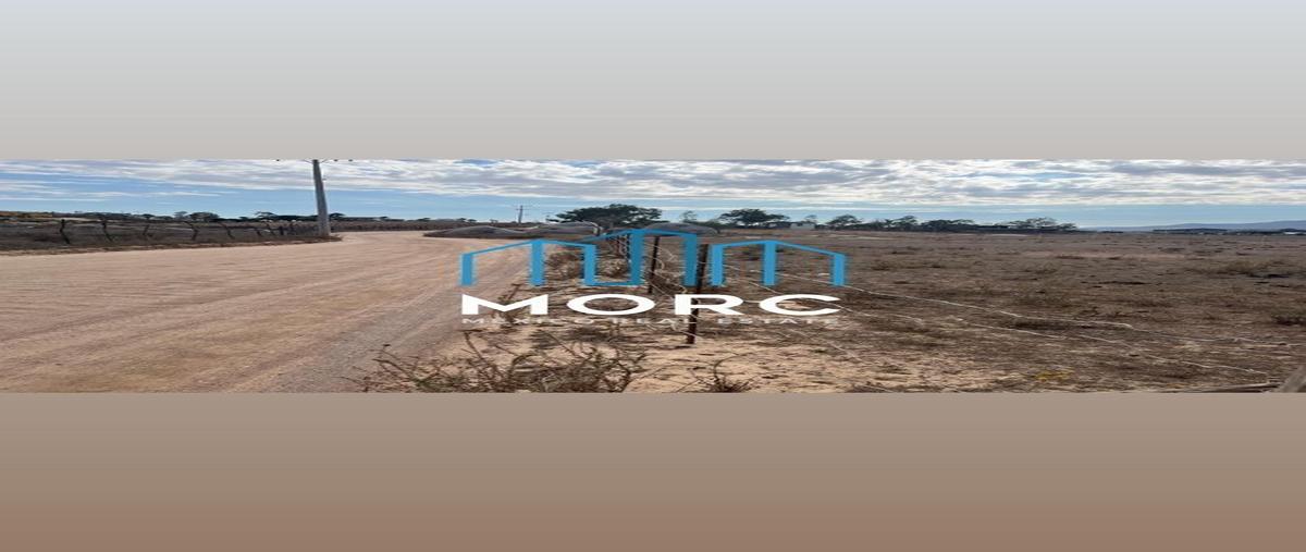 Foto de terreno habitacional en venta en  , francisco zarco (valle de guadalupe), ensenada, baja california, 25755463 No. 05