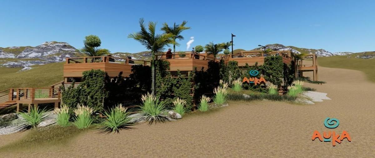 Foto de terreno habitacional en venta en  , francisco zarco (valle de guadalupe), ensenada, baja california, 25951451 No. 05
