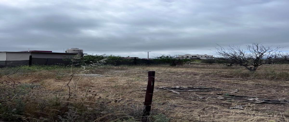 Foto de terreno habitacional en venta en  , francisco zarco (valle de guadalupe), ensenada, baja california, 26486425 No. 04