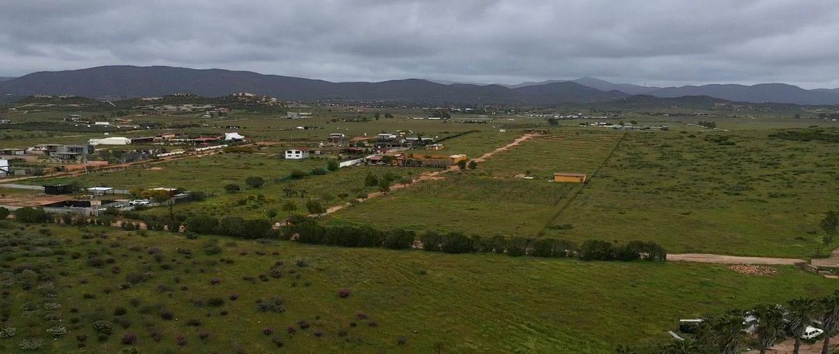 Foto de rancho en , francisco zarco (valle de guadalupe), ensenada, baja california, 26561480 foto 02 Foto de rancho en venta en , francisco zarco (valle de guadalupe), ensenada, baja california, 26561480 No. 02