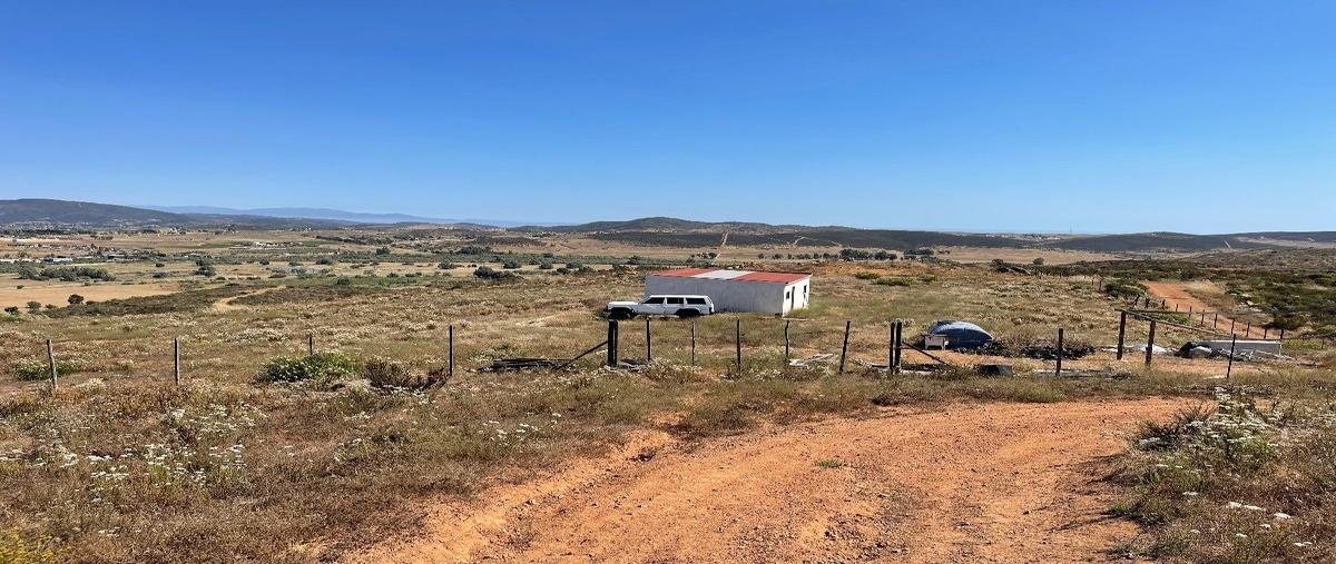 Foto de terreno habitacional en venta en  , francisco zarco (valle de guadalupe), ensenada, baja california, 26741240 No. 04