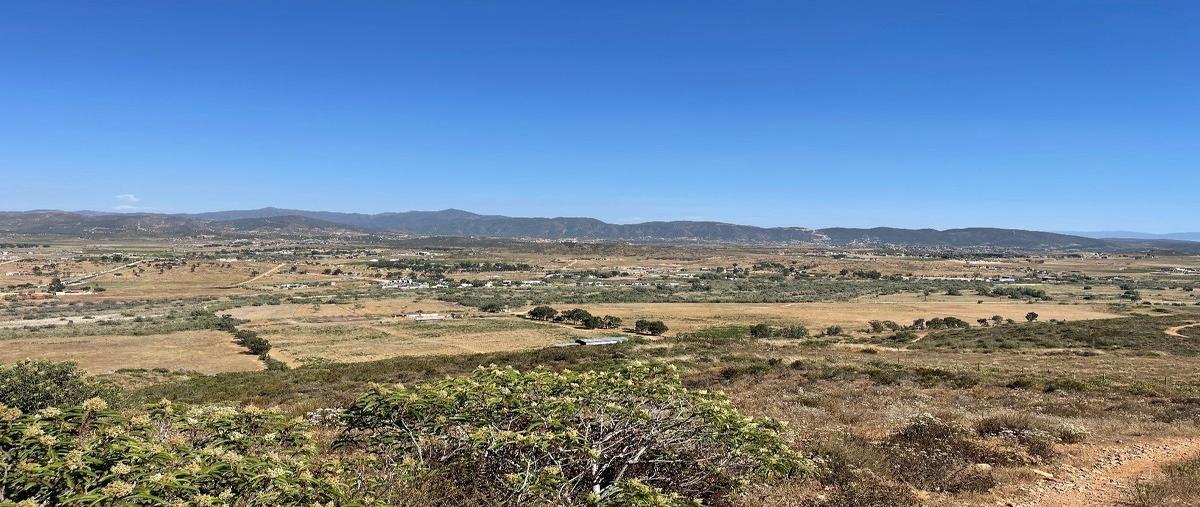 Foto de terreno habitacional en venta en  , francisco zarco (valle de guadalupe), ensenada, baja california, 26741240 No. 05