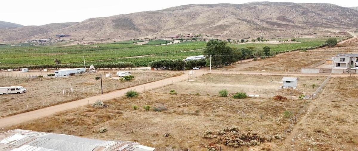Foto de terreno habitacional en venta en  , francisco zarco (valle de guadalupe), ensenada, baja california, 26874761 No. 03