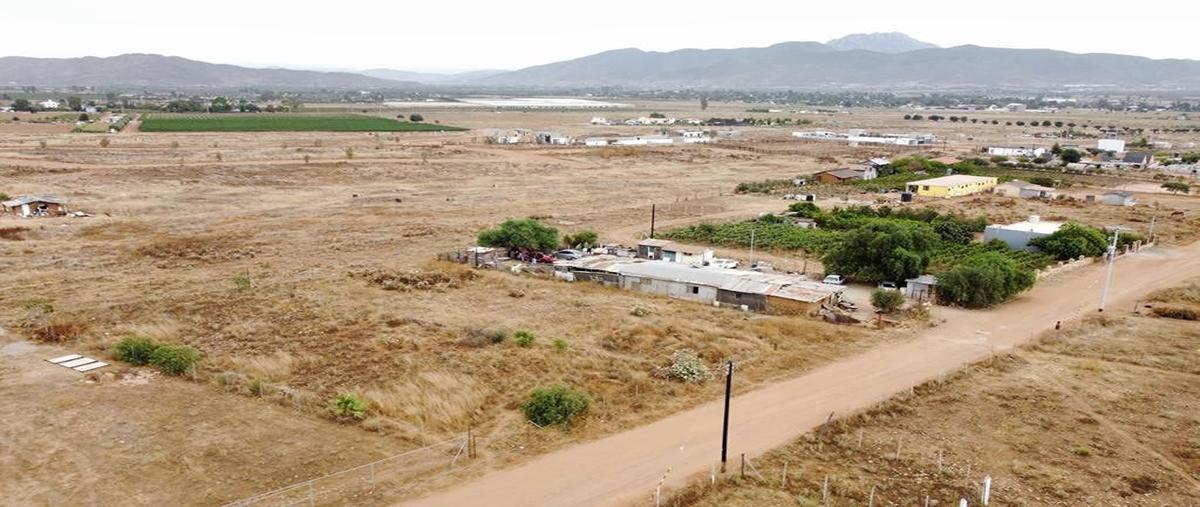 Foto de terreno habitacional en venta en  , francisco zarco (valle de guadalupe), ensenada, baja california, 26874761 No. 04