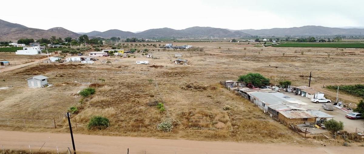 Foto de terreno habitacional en venta en  , francisco zarco (valle de guadalupe), ensenada, baja california, 26874761 No. 05