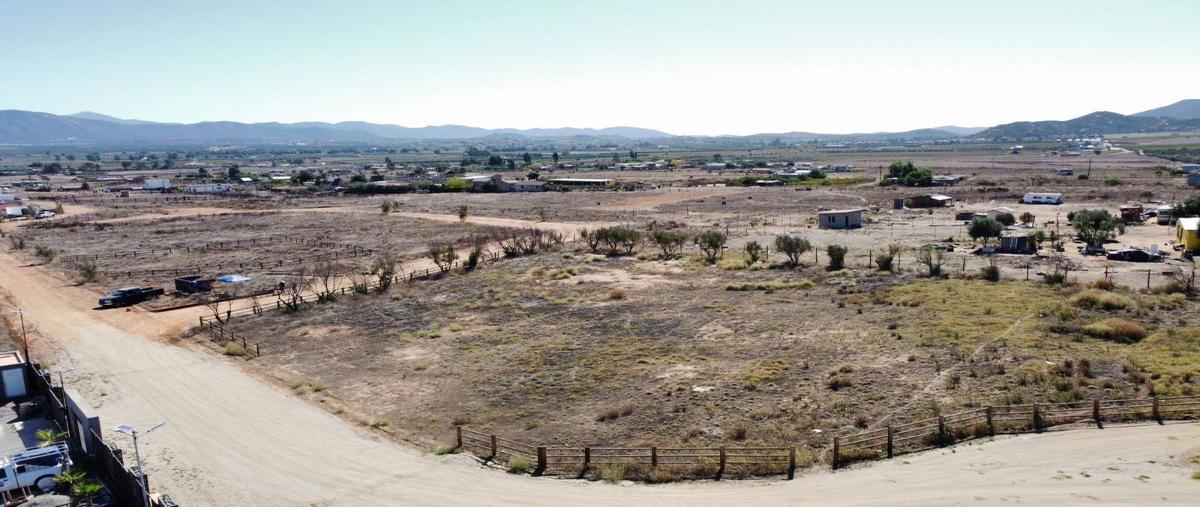 Foto de terreno habitacional en venta en  , francisco zarco (valle de guadalupe), ensenada, baja california, 27205857 No. 04