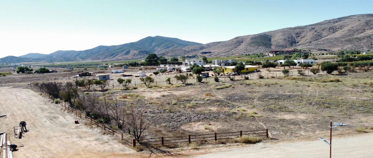 Foto de terreno habitacional en venta en  , francisco zarco (valle de guadalupe), ensenada, baja california, 27205857 No. 05