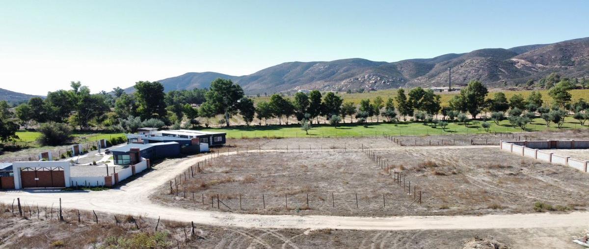 Foto de terreno habitacional en venta en  , francisco zarco (valle de guadalupe), ensenada, baja california, 27205859 No. 03