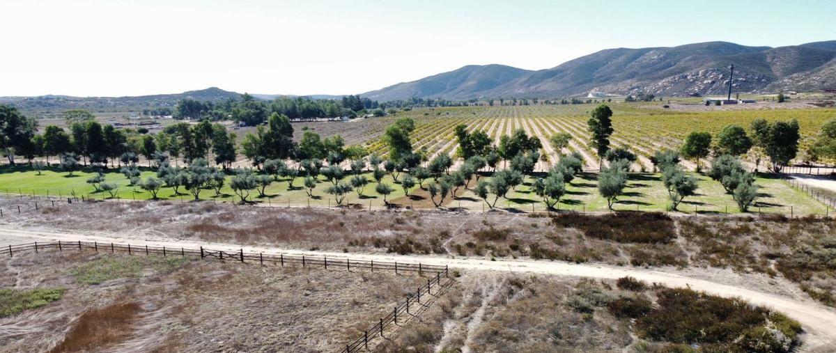 Foto de terreno habitacional en venta en  , francisco zarco (valle de guadalupe), ensenada, baja california, 27205859 No. 04