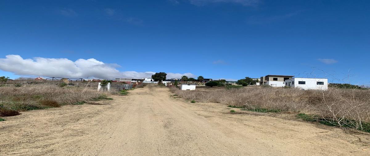 Foto de terreno habitacional en venta en  , francisco zarco (valle de guadalupe), ensenada, baja california, 27409780 No. 04