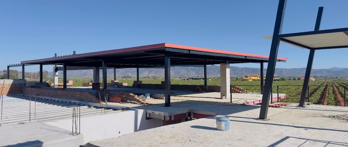 Foto de terreno comercial en renta en  , francisco zarco (valle de guadalupe), ensenada, baja california, 27489156 No. 04