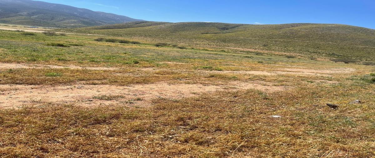Foto de terreno habitacional en , francisco zarco (valle de guadalupe), ensenada, baja california, 28013245 foto 05 Foto de terreno habitacional en renta en , francisco zarco (valle de guadalupe), ensenada, baja california, 28013245 No. 05