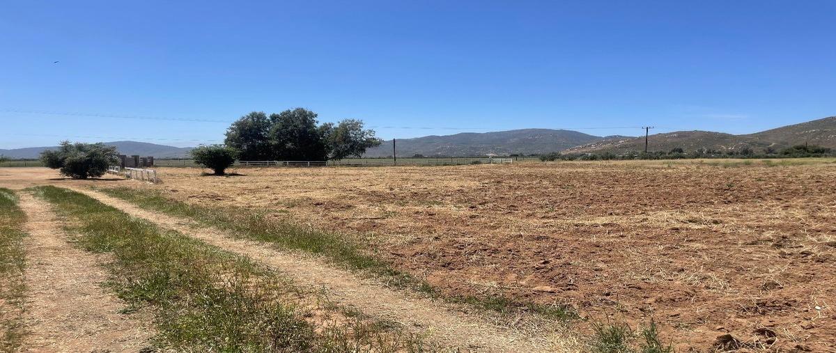 Foto de terreno habitacional en , francisco zarco (valle de guadalupe), ensenada, baja california, 28013246 foto 01 Foto de terreno habitacional en venta en , francisco zarco (valle de guadalupe), ensenada, baja california, 28013246 No. 01