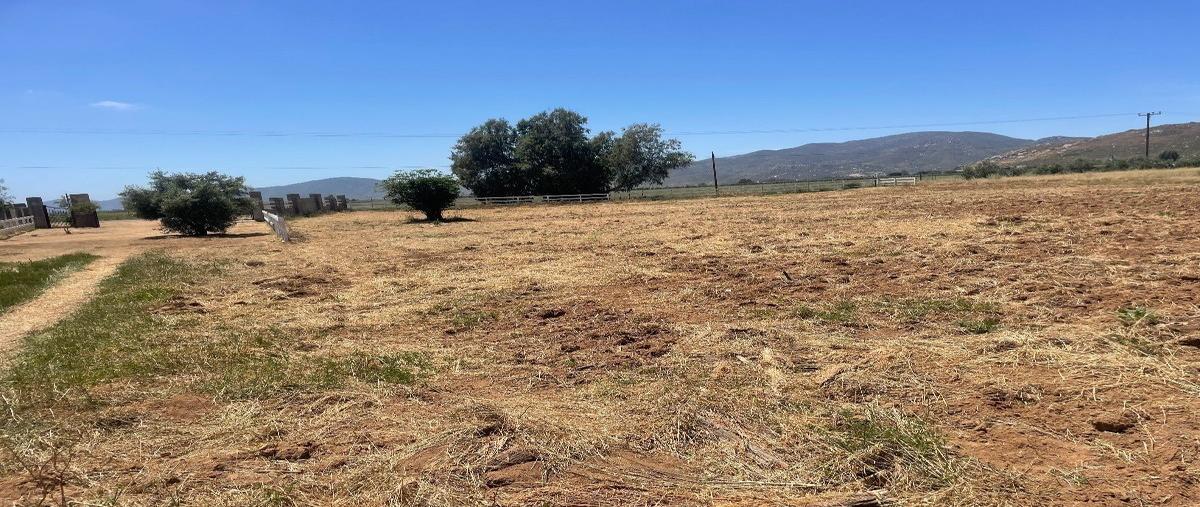 Foto de terreno habitacional en , francisco zarco (valle de guadalupe), ensenada, baja california, 28013246 foto 04 Foto de terreno habitacional en venta en , francisco zarco (valle de guadalupe), ensenada, baja california, 28013246 No. 04