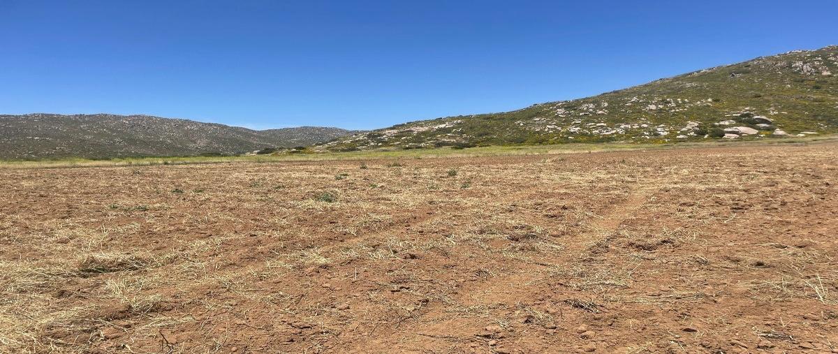 Foto de terreno habitacional en venta en  , francisco zarco (valle de guadalupe), ensenada, baja california, 28013247 No. 05