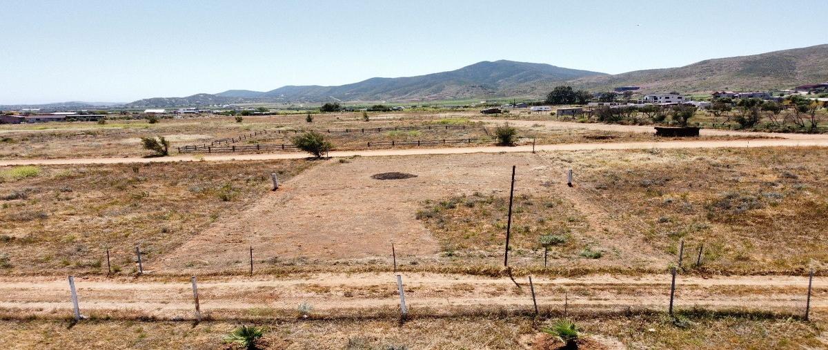 Foto de terreno habitacional en venta en  , francisco zarco (valle de guadalupe), ensenada, baja california, 28091962 No. 03
