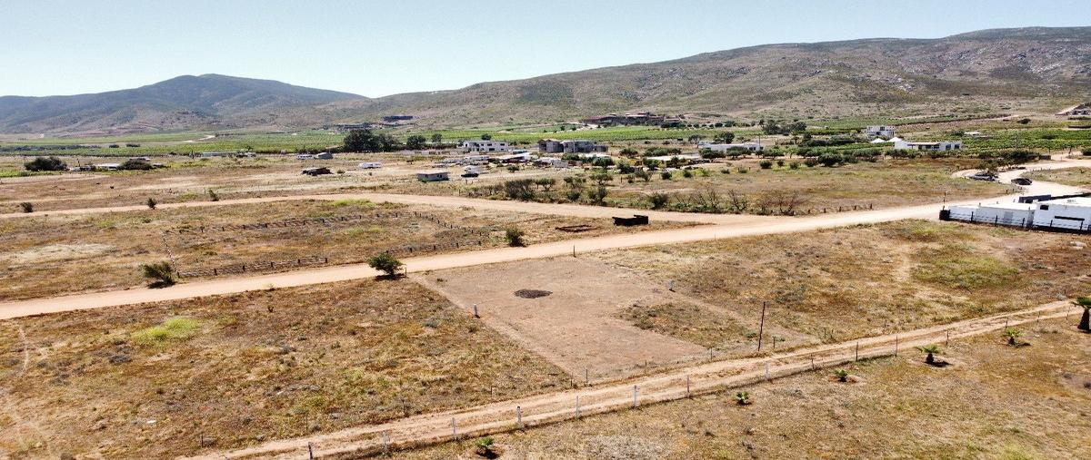 Foto de terreno habitacional en venta en  , francisco zarco (valle de guadalupe), ensenada, baja california, 28091962 No. 04