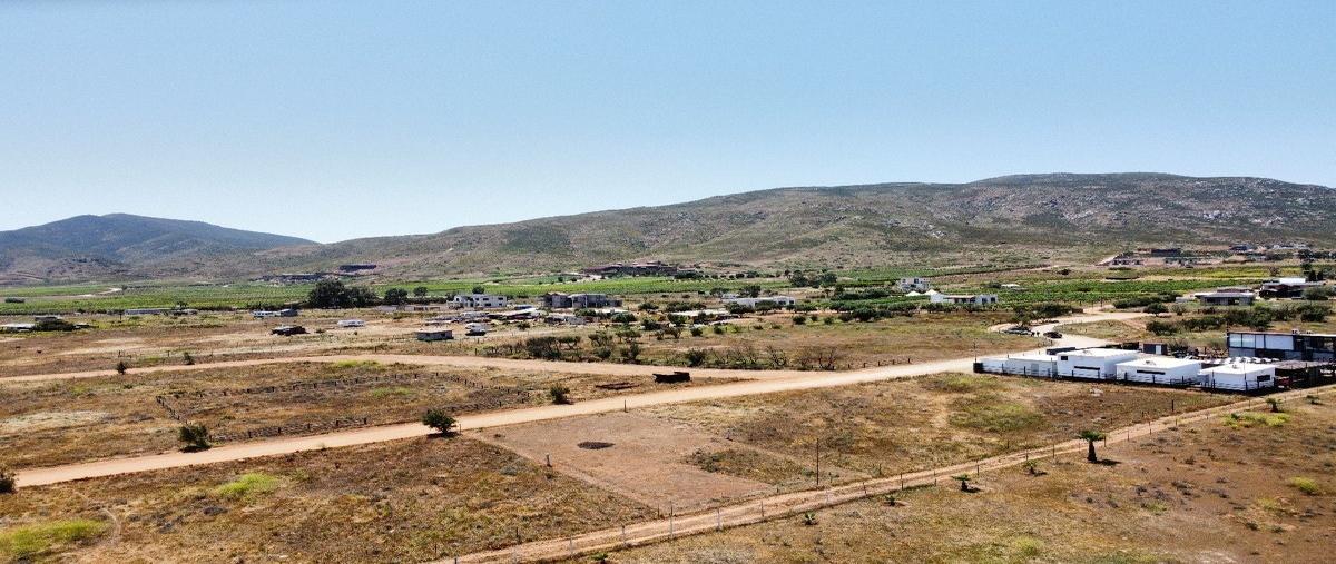 Foto de terreno habitacional en venta en  , francisco zarco (valle de guadalupe), ensenada, baja california, 28091962 No. 05